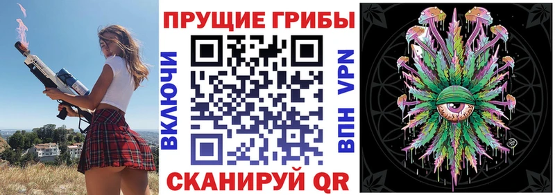 Галлюциногенные грибы Psilocybe  хочу наркоту  Старый Оскол 