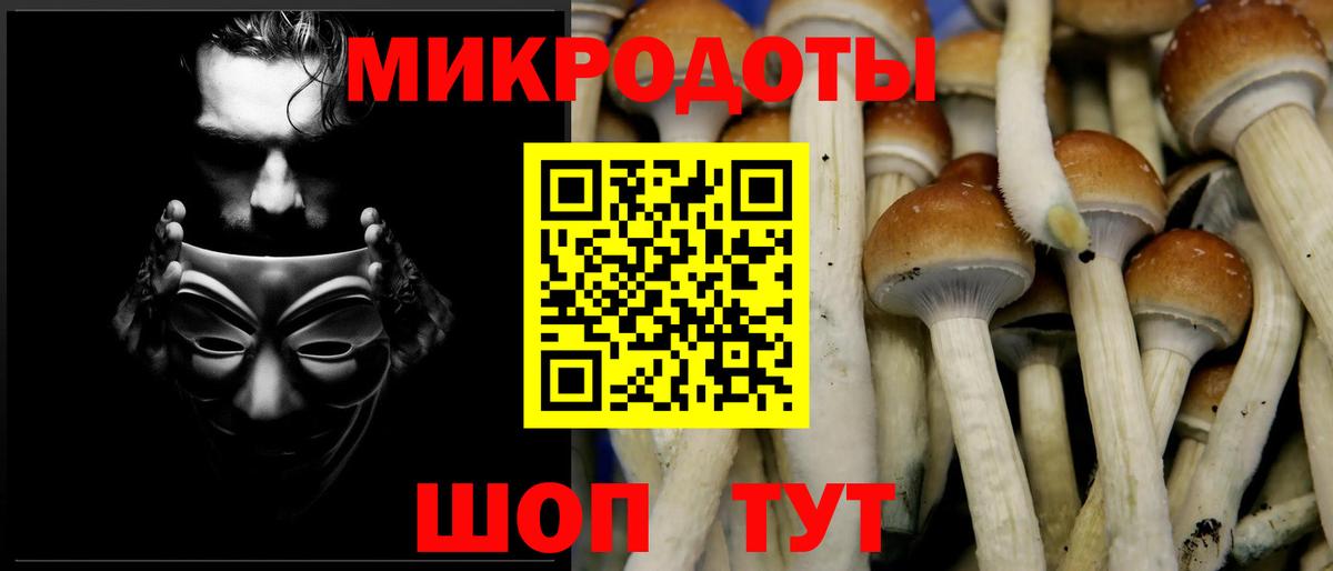 Псилоцибиновые грибы ЛСД  Галлюциногенные грибы Magic Shrooms  Старый Оскол  Вход с VPN 